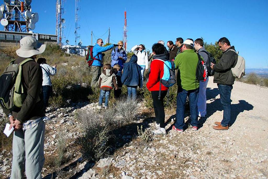 voluntariado ambiental