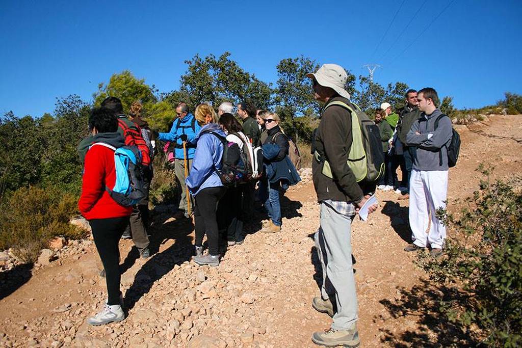 voluntariado ambiental