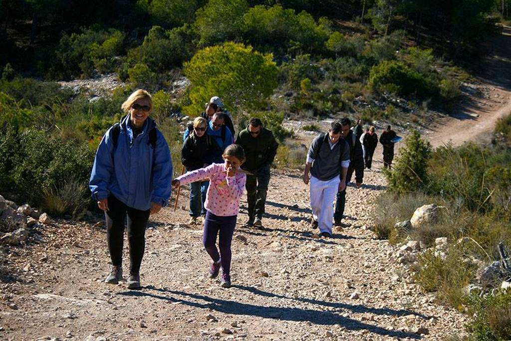 voluntariado ambiental